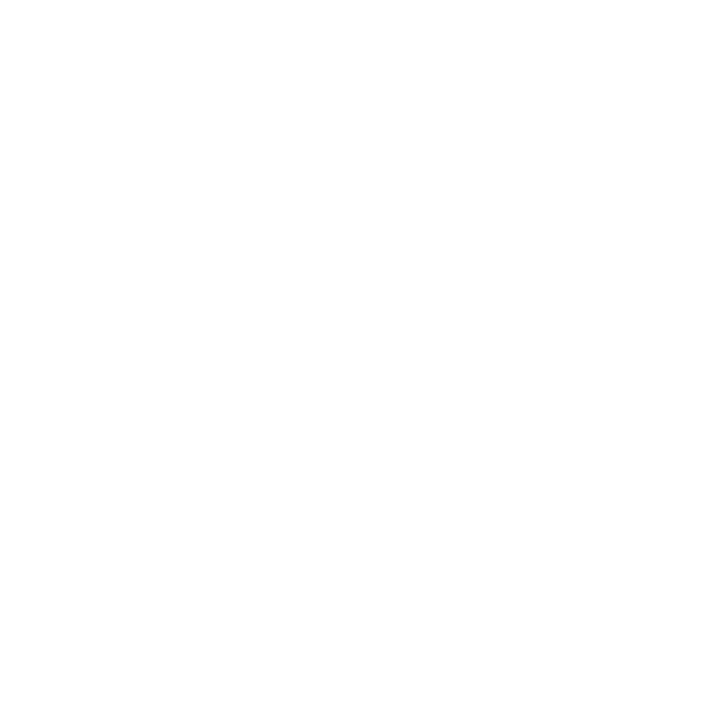 U.S Legal Support