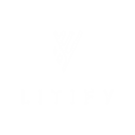 Litify Logo (2)